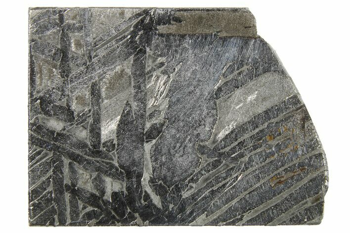 Aletai Iron Meteorite Slice ( g) - Xinjiang, China #263164